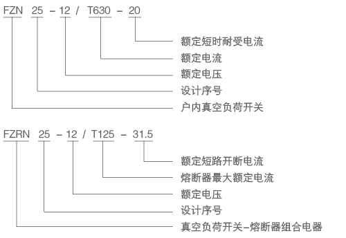 FZN25、FZRN25-型号.png