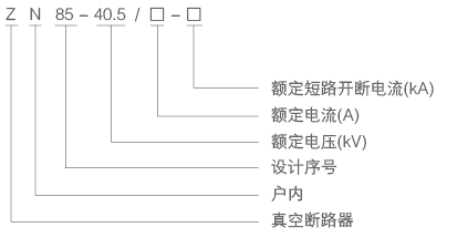 ZN85-40.5-型号.png ZN85-40.5-型号.png
